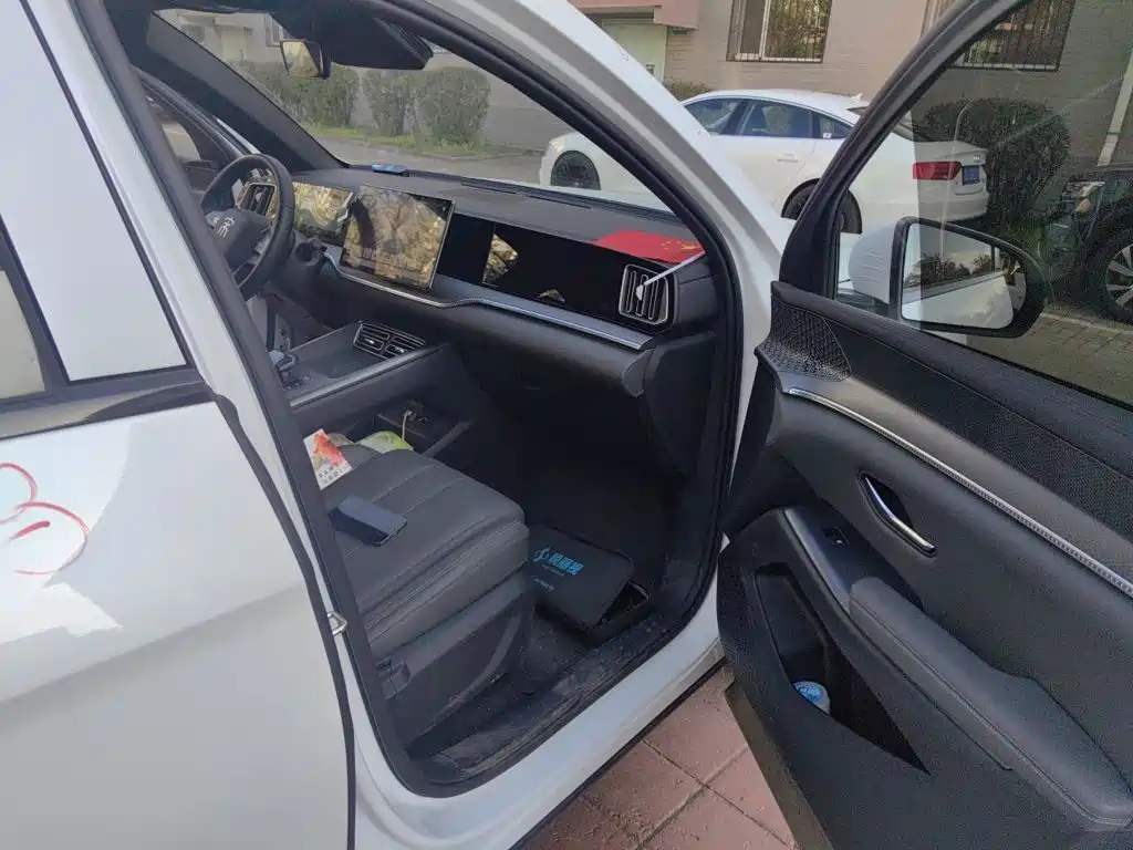 BYD Pro New Energy — миниатюра 19