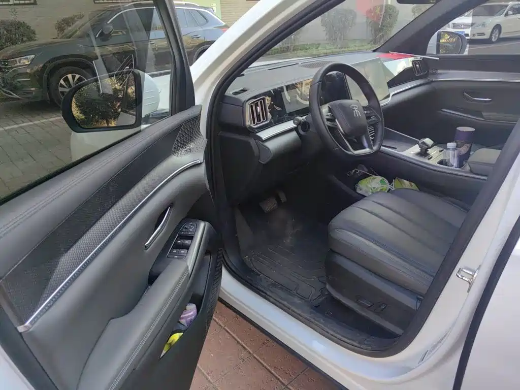 BYD Pro New Energy — миниатюра 12