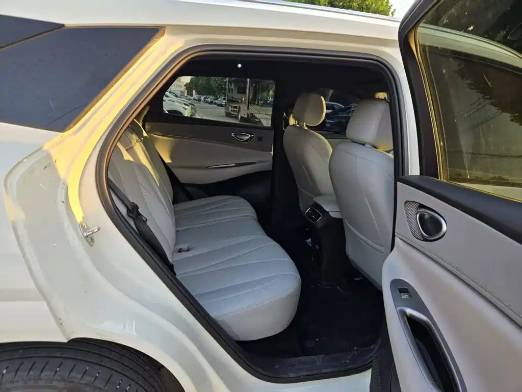 BYD Haisi 06 — миниатюра 12