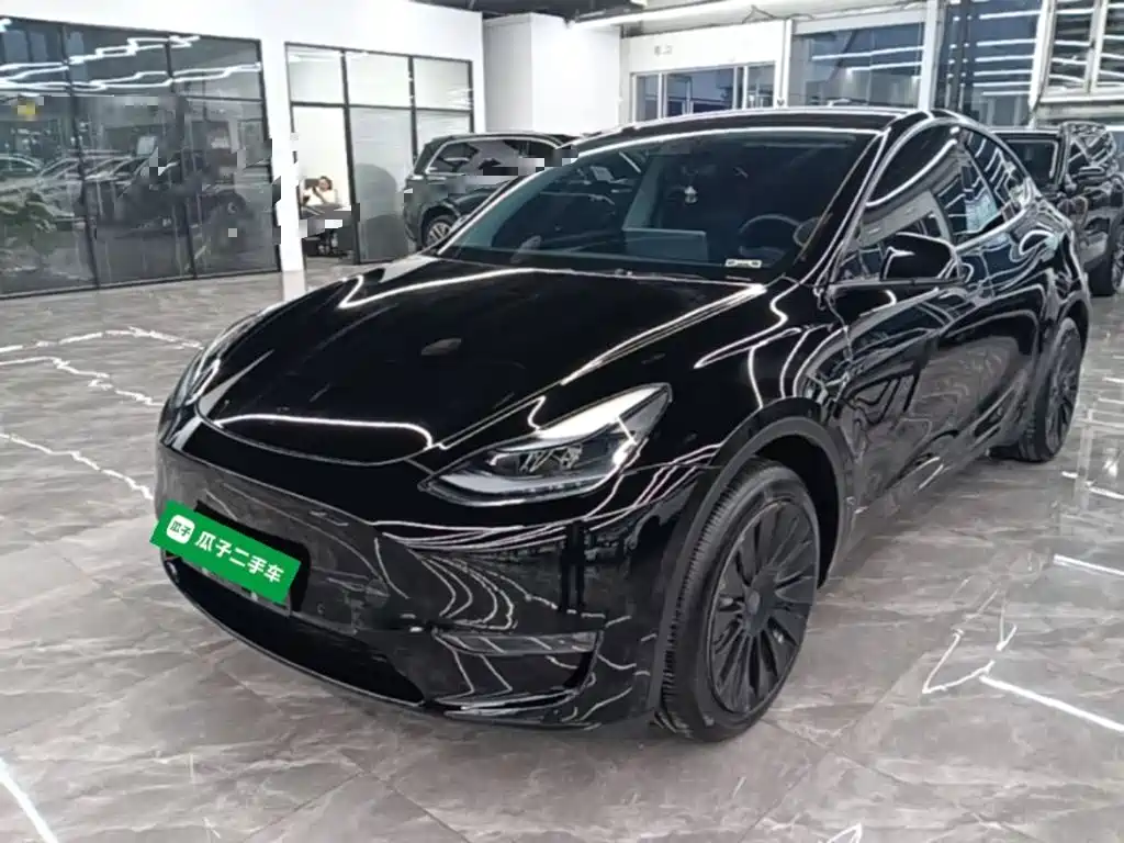 Tesla Model Y — миниатюра 2