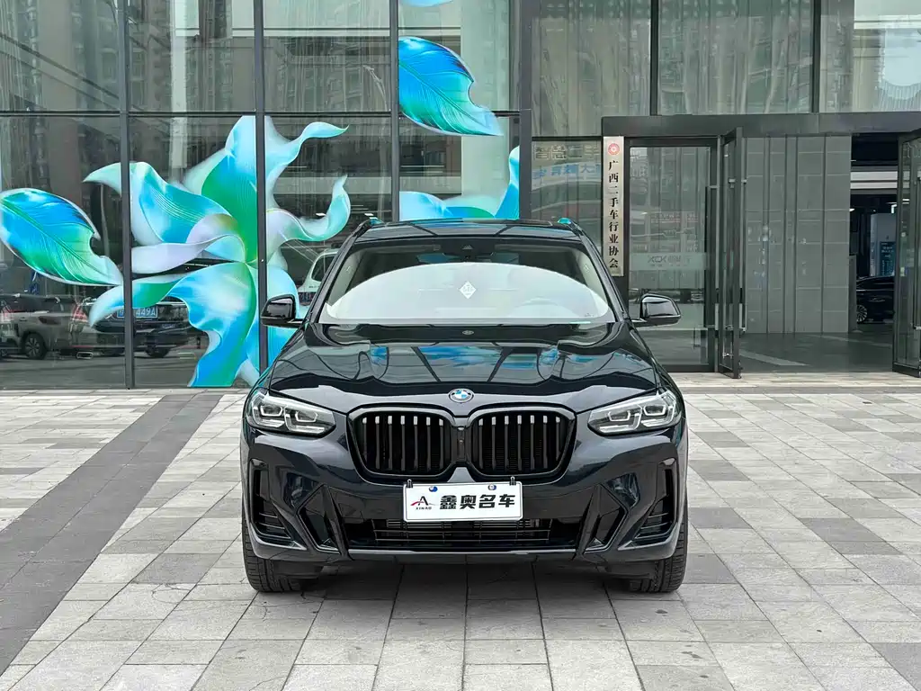 BMW X3 2023 xDrive30i Lead M