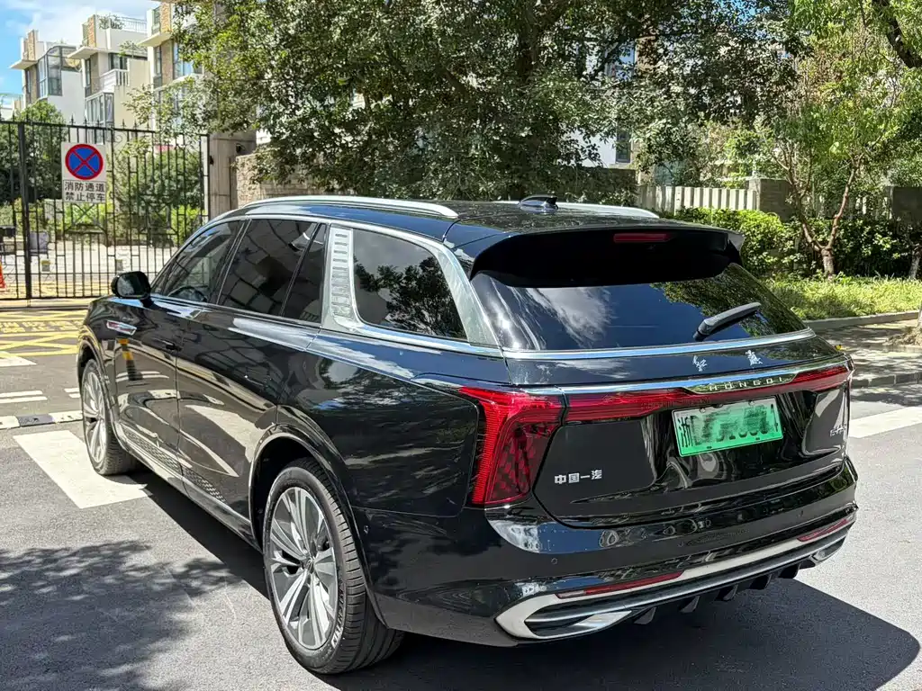 Hongqi Hongqi E-HS9 — миниатюра 7