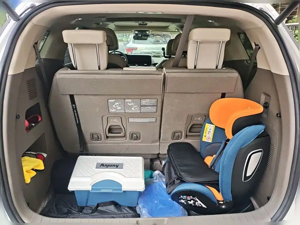 Kia Carnival — миниатюра 15