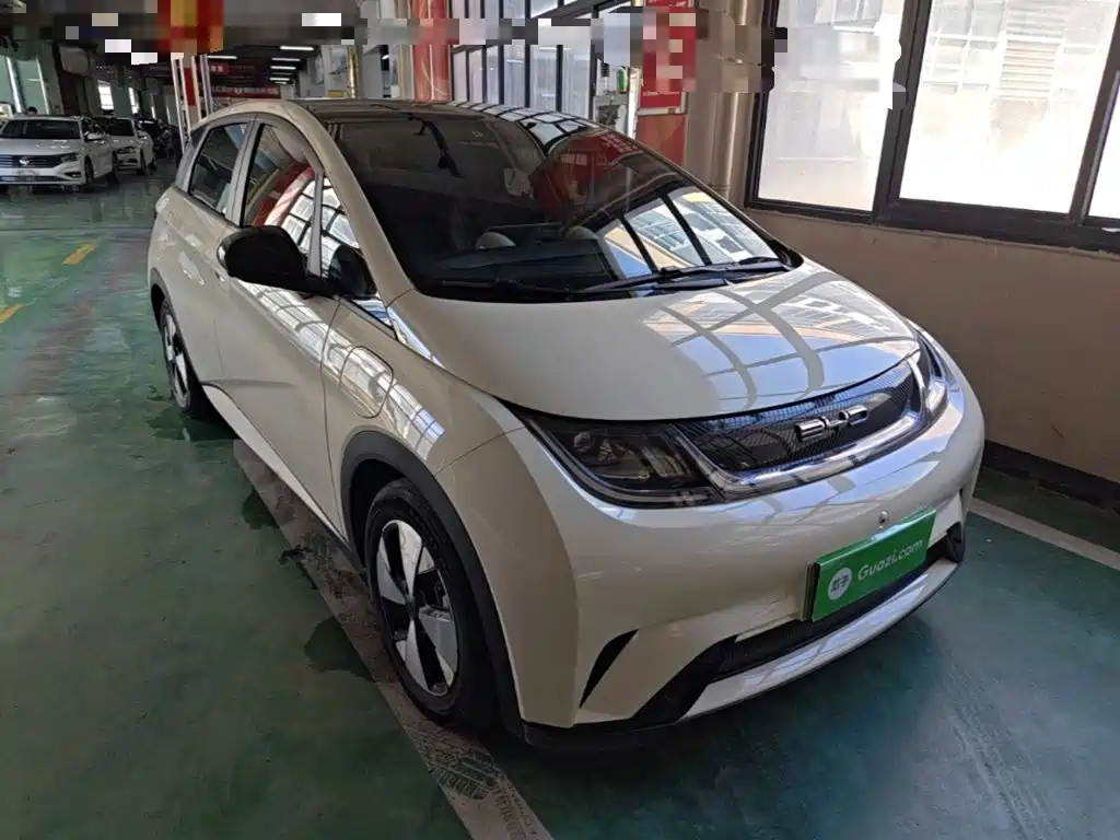 BYD Dolphin — миниатюра 4