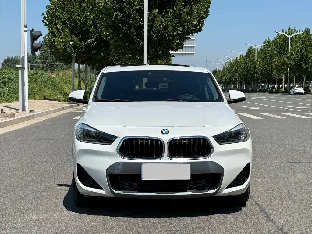 BMW X2 — миниатюра 2