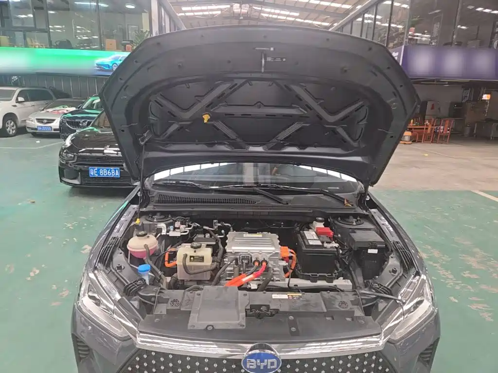 BYD e2 — миниатюра 16
