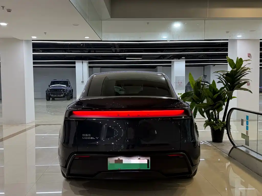 Tesla Model Y — миниатюра 8