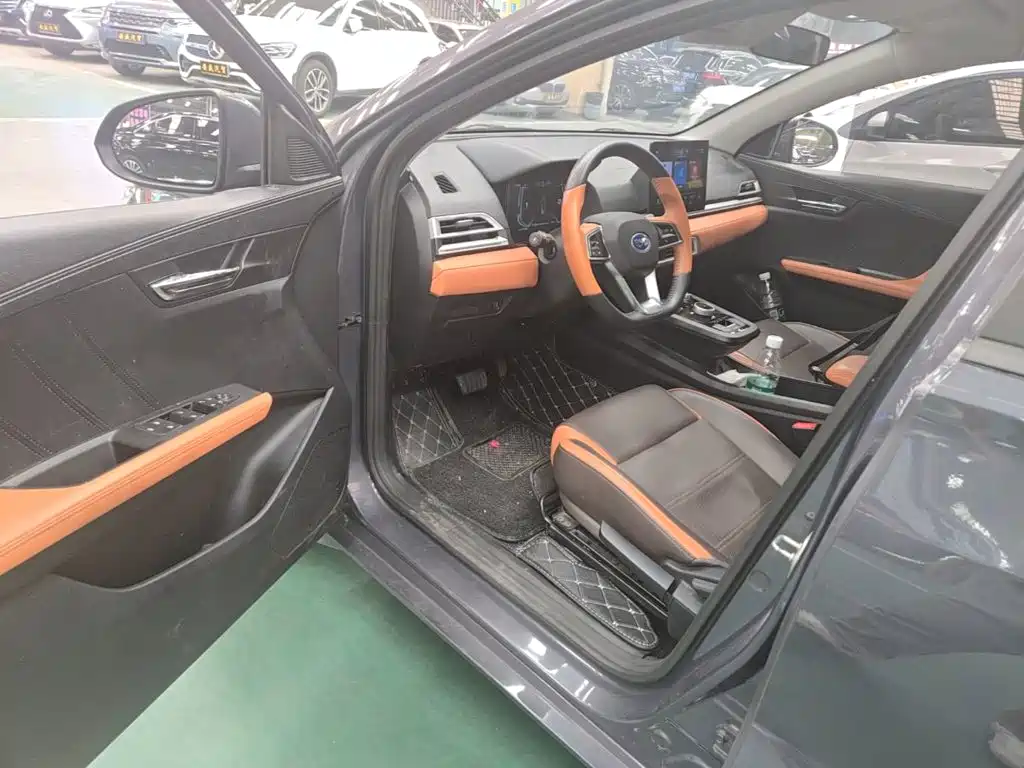 BYD e2 — миниатюра 12