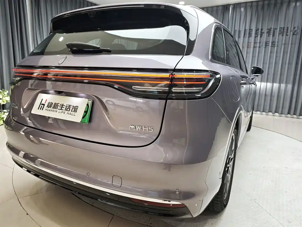 Shangjie Shangjie H5 — миниатюра 27