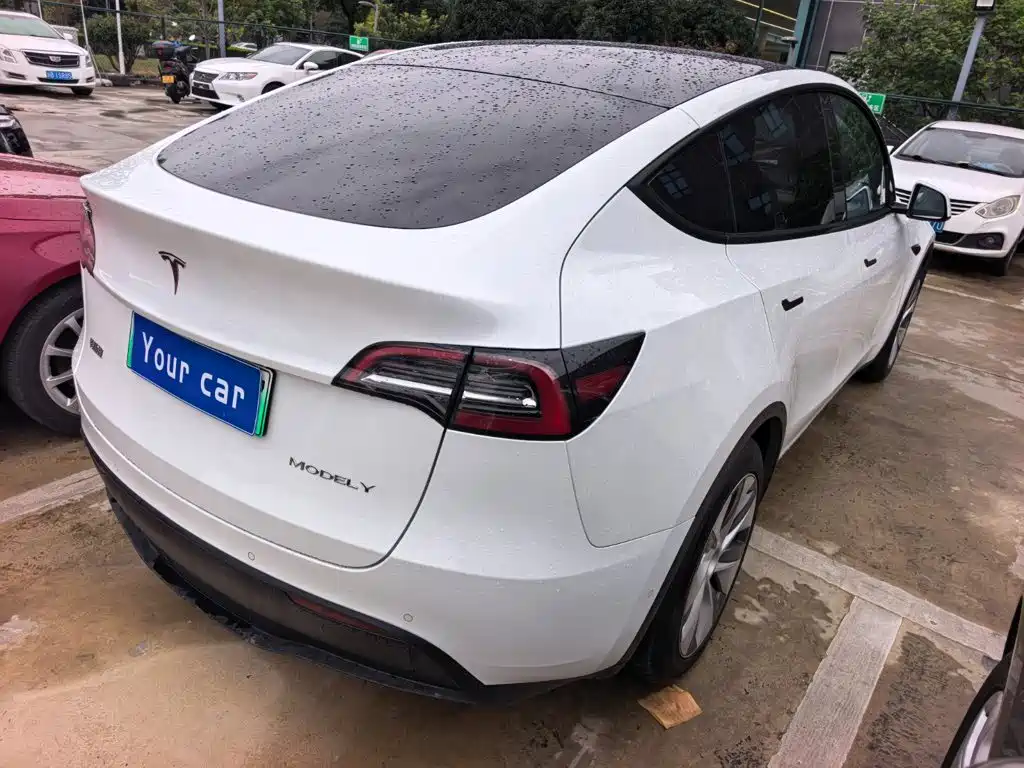 Tesla Model Y — миниатюра 6