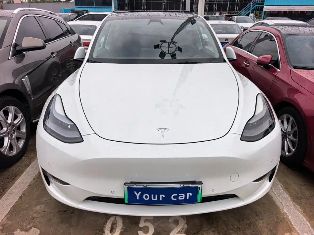 Tesla Model Y — миниатюра 2