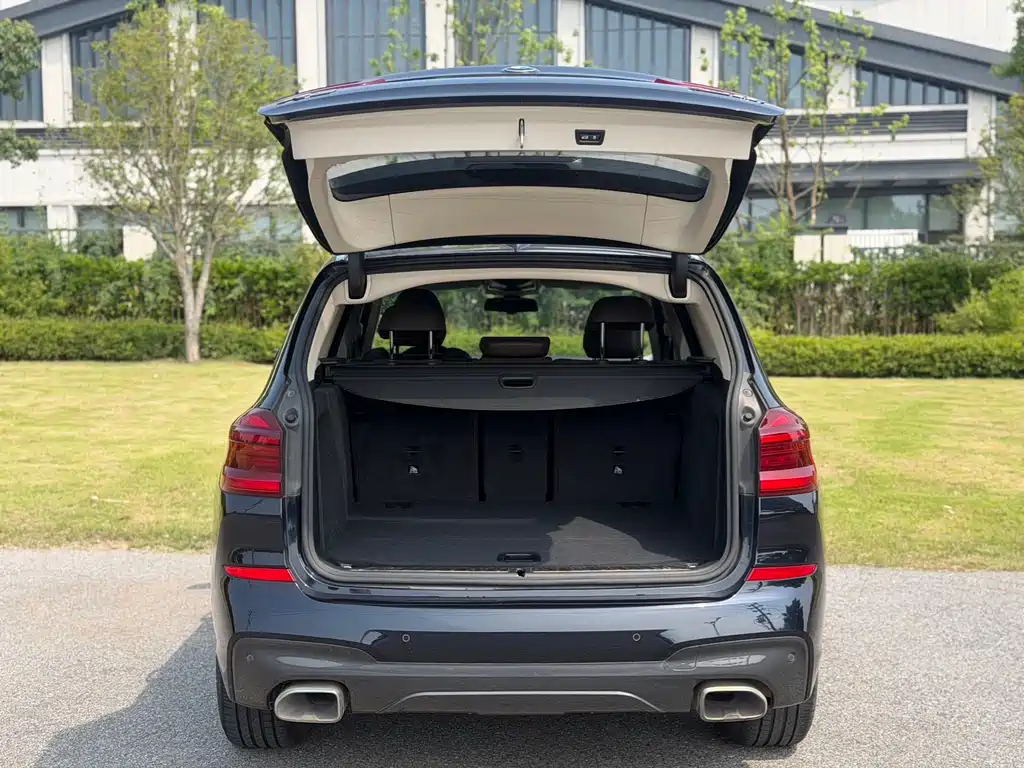 BMW X3 2018 xDrive30i Lead M Sport V