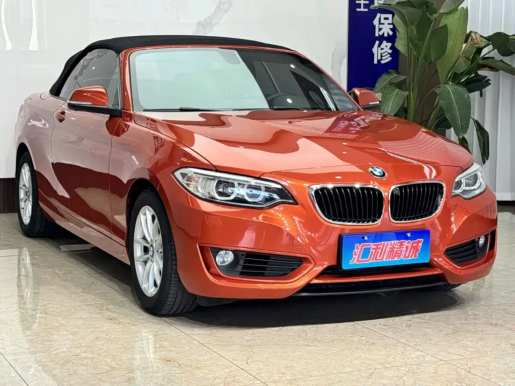 BMW 2 Series (Import) — миниатюра 3
