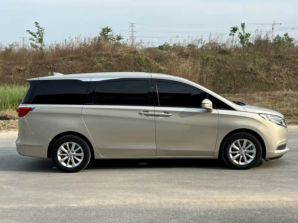 Buick GL8 — миниатюра 5