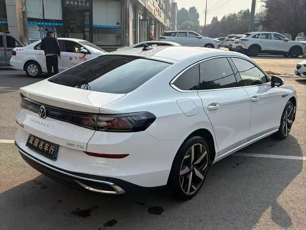 Volkswagen Lamando — миниатюра 6