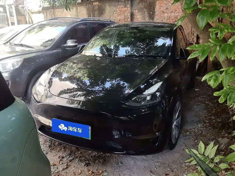Tesla Model Y — миниатюра 2