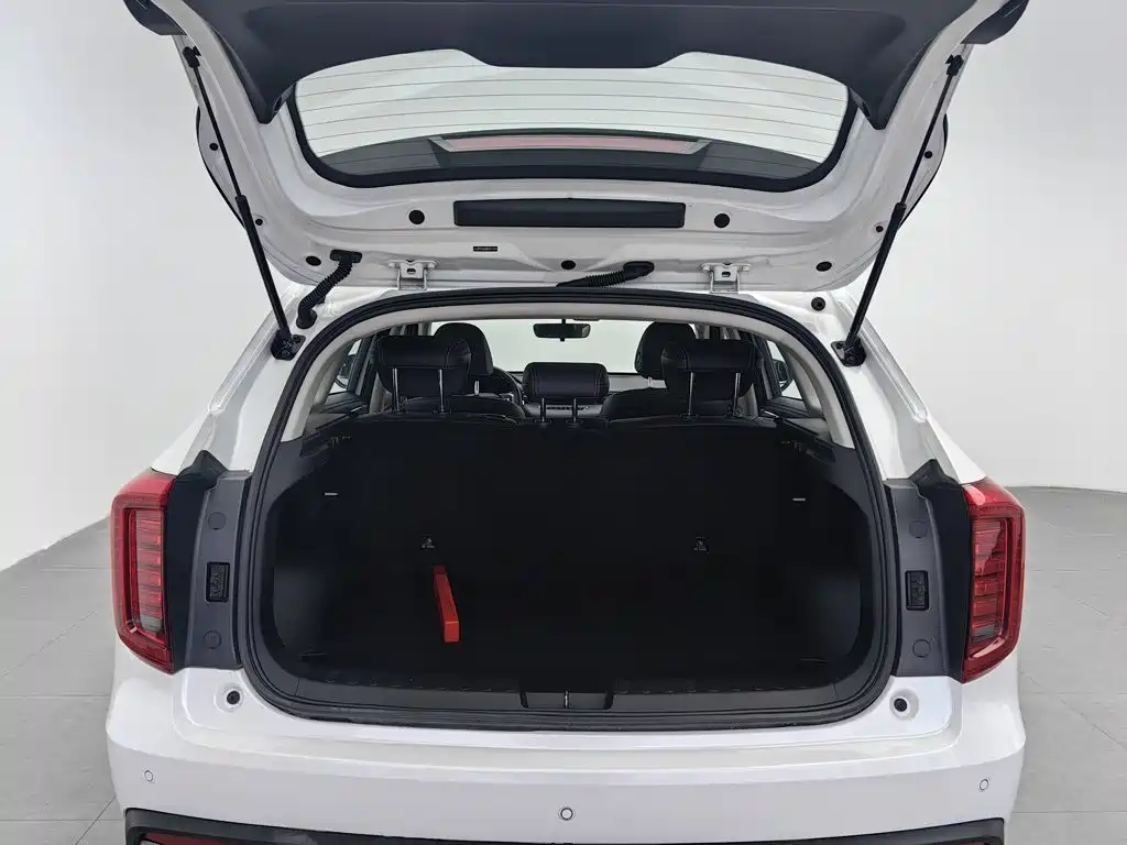 Haval Chulian — миниатюра 16