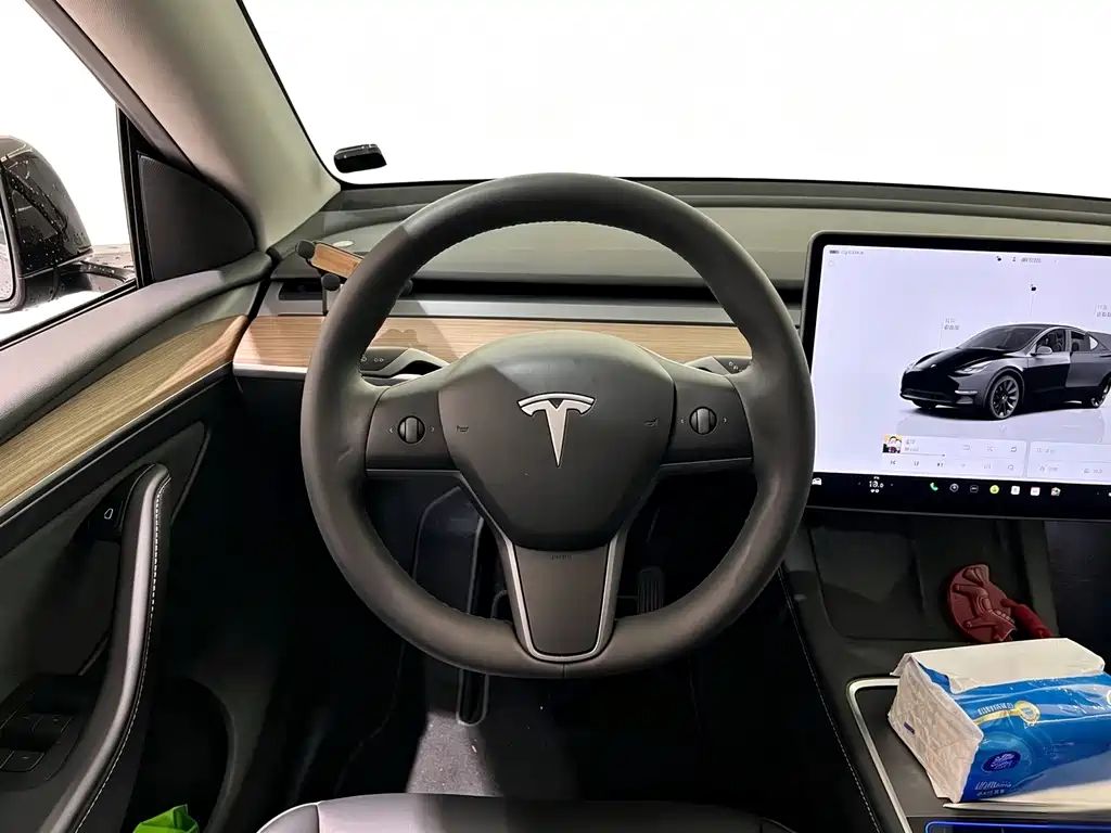 Tesla Model Y — фотографии объявления, Фото 7