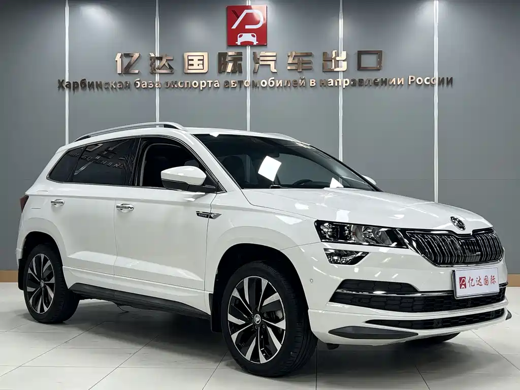 Skoda Karoq TSI280 Luxury Enjoy Edition, фото 3