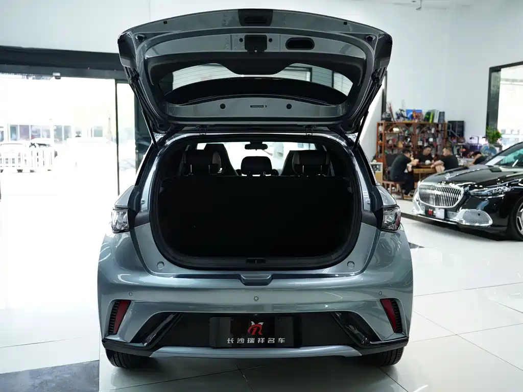 BYD Dolphin — миниатюра 11