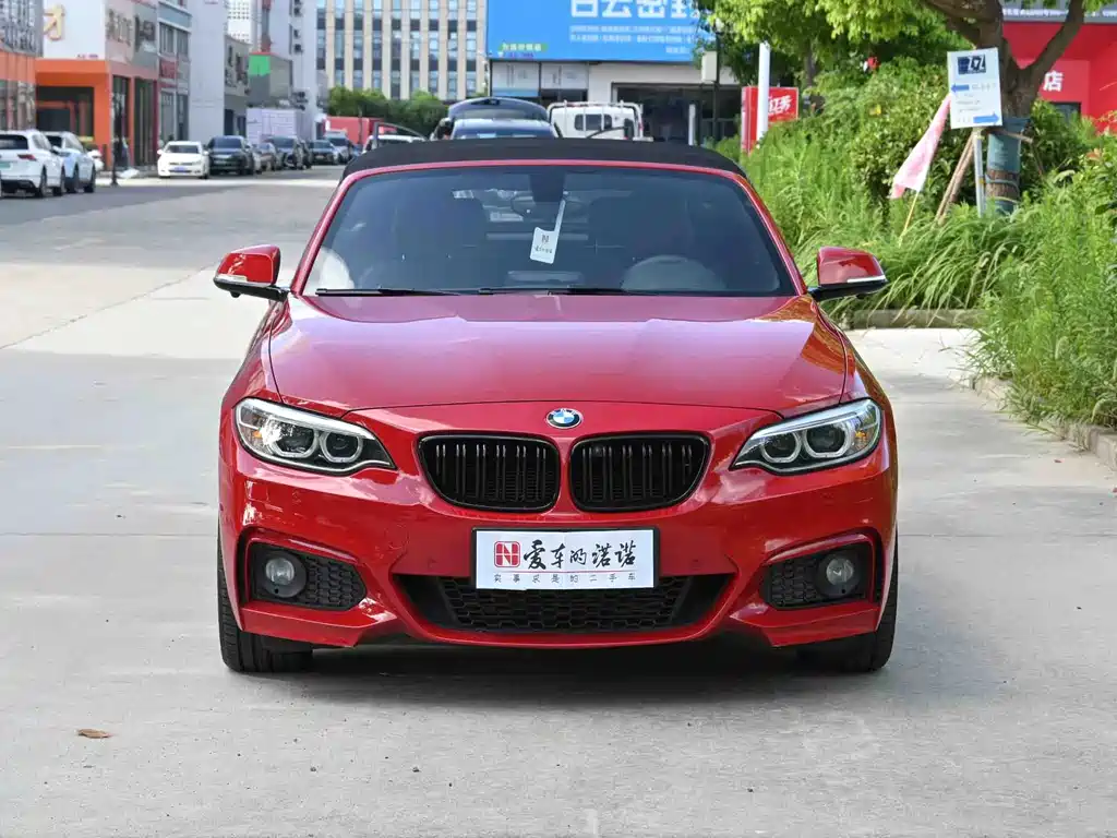 BMW 2 Series (Import) — миниатюра 2