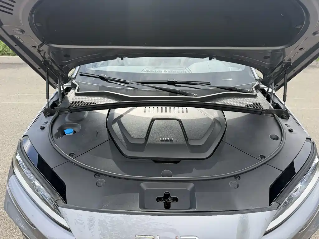 BYD PLUS — миниатюра 18
