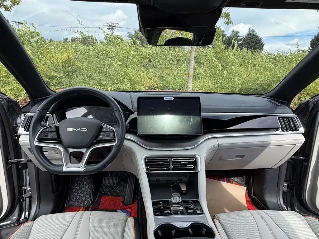 BYD PLUS — миниатюра 23