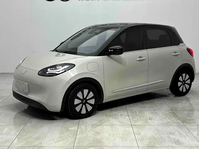 2023 Wuling Motors Binguo