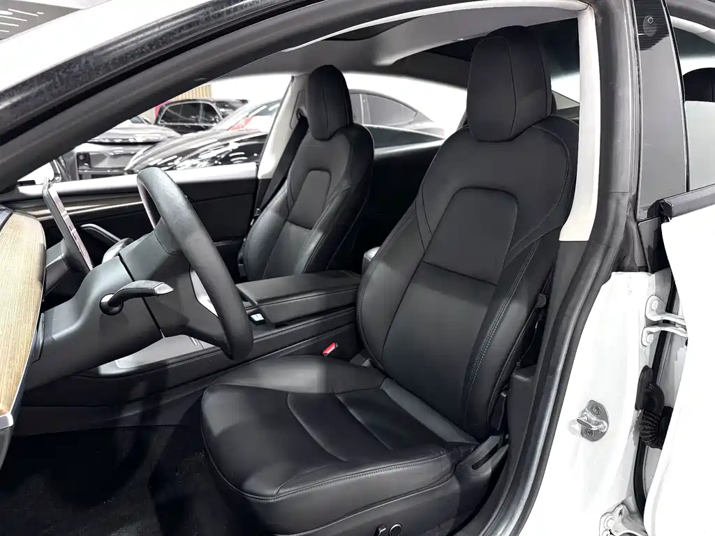 Tesla Model 3 — миниатюра 4