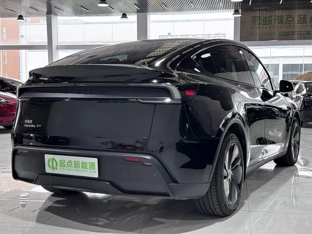 Tesla Model Y — миниатюра 3