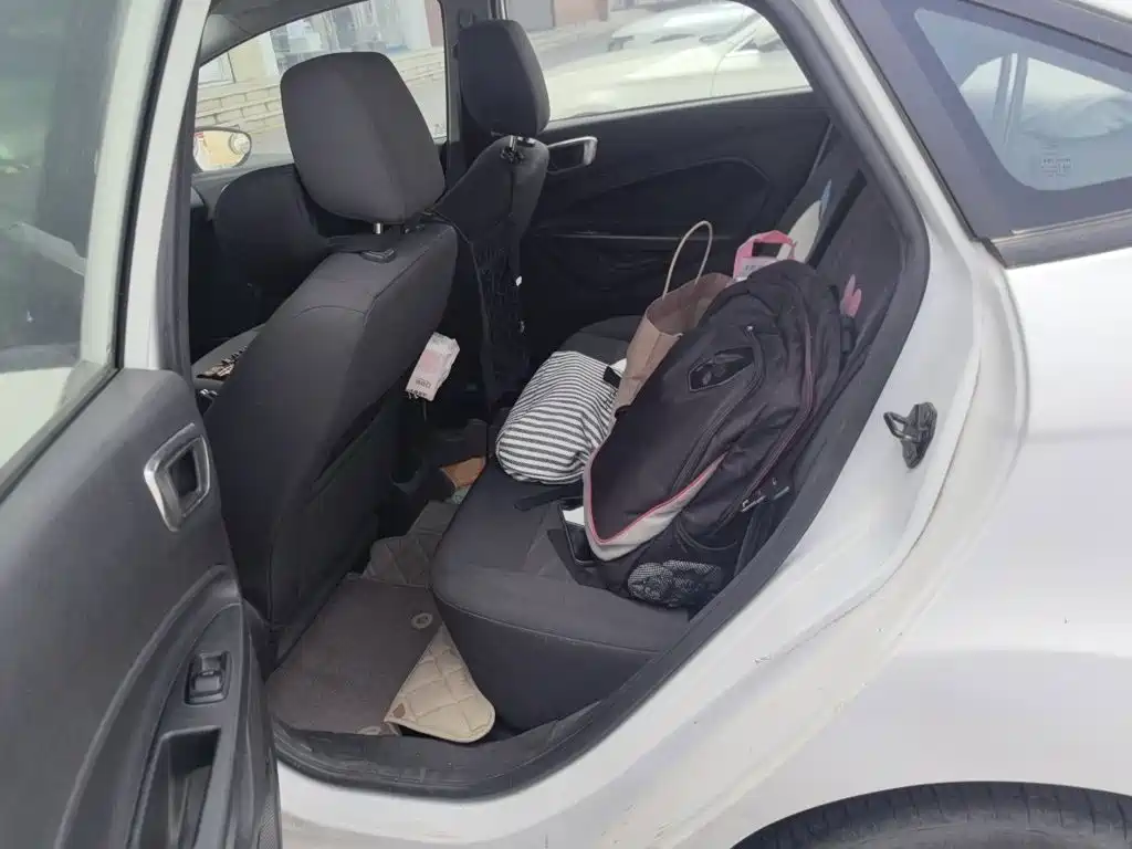 Ford Fiesta — миниатюра 18