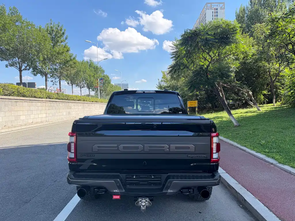 Ford F-150 Raptor — миниатюра 5