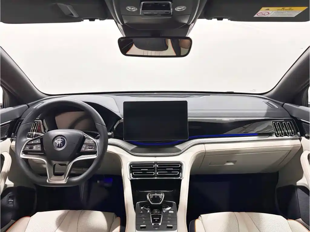 BYD PLUS New Energy — миниатюра 7