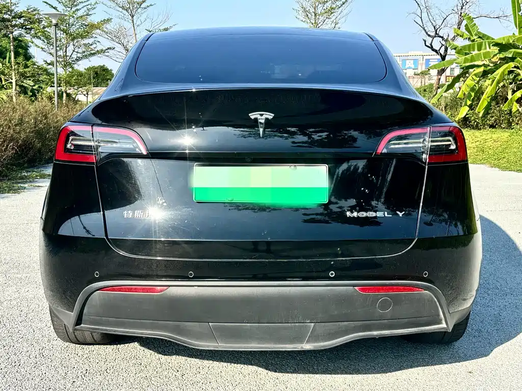 Tesla Model Y — миниатюра 5