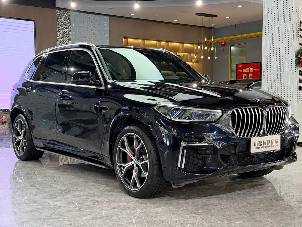 BMW X5 — миниатюра 3