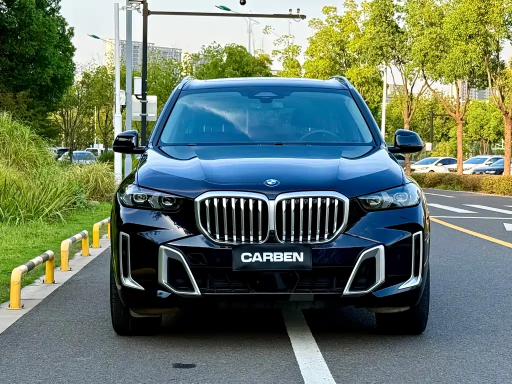 BMW X5 — миниатюра 2