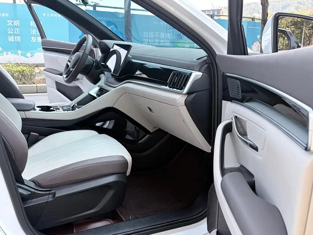 BYD SONGJIANG NEW ENERGY