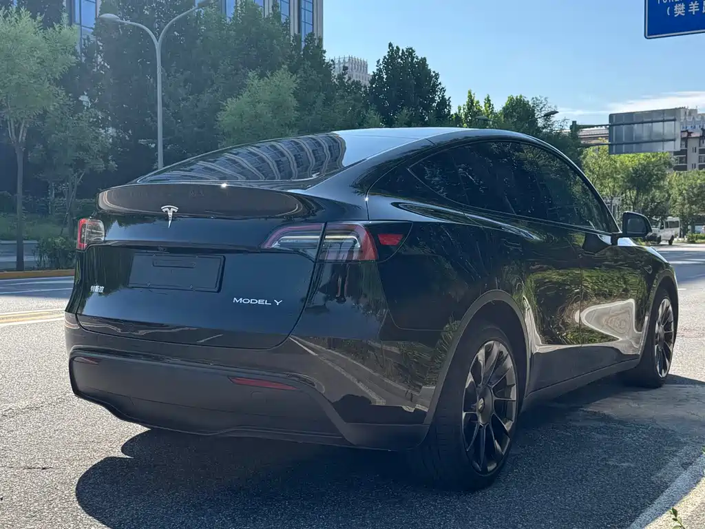 Tesla Model Y — миниатюра 6