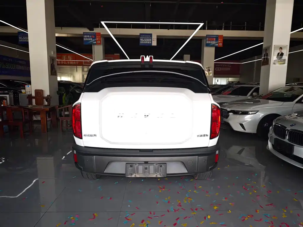 Haval Cool Dog — миниатюра 5