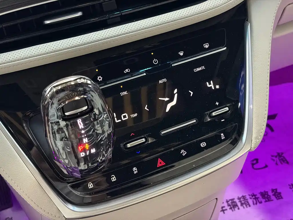 Buick GL8 — миниатюра 19