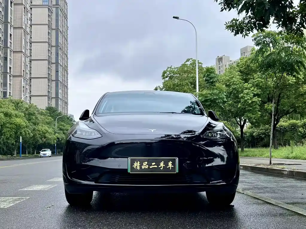 Tesla Model Y — миниатюра 3