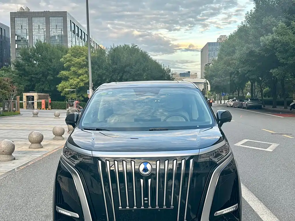 Denza Denza D9 — миниатюра 2
