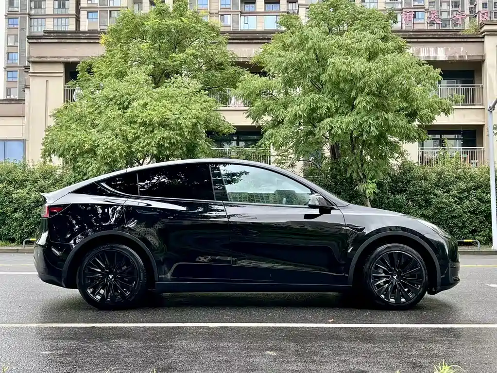Tesla Model Y — миниатюра 6