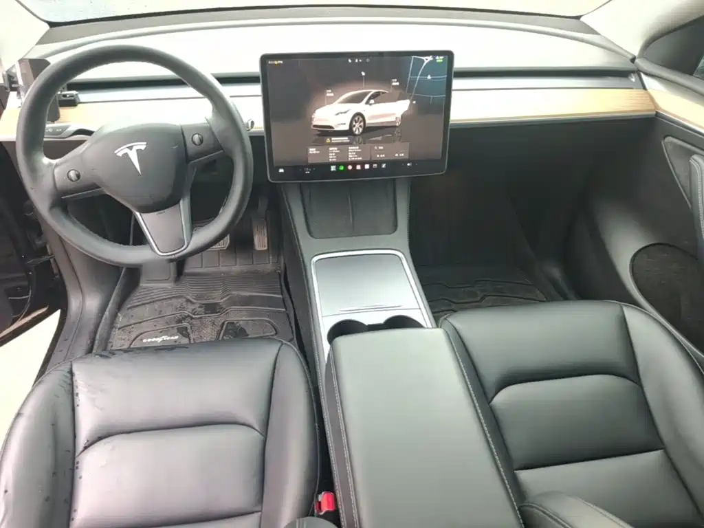 Tesla Model Y — миниатюра 10
