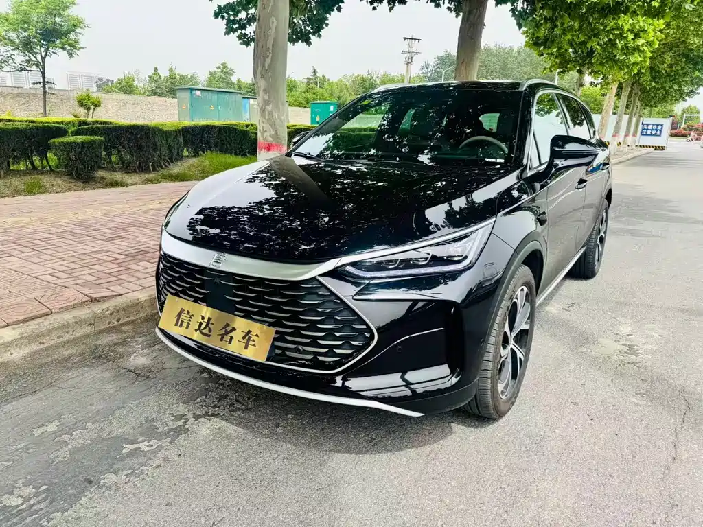 Byd Tang New Energy 2025