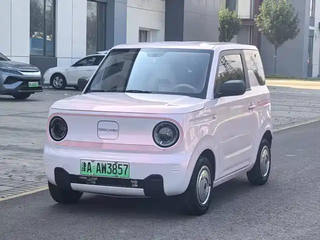 2024 Geely LC (Panda)