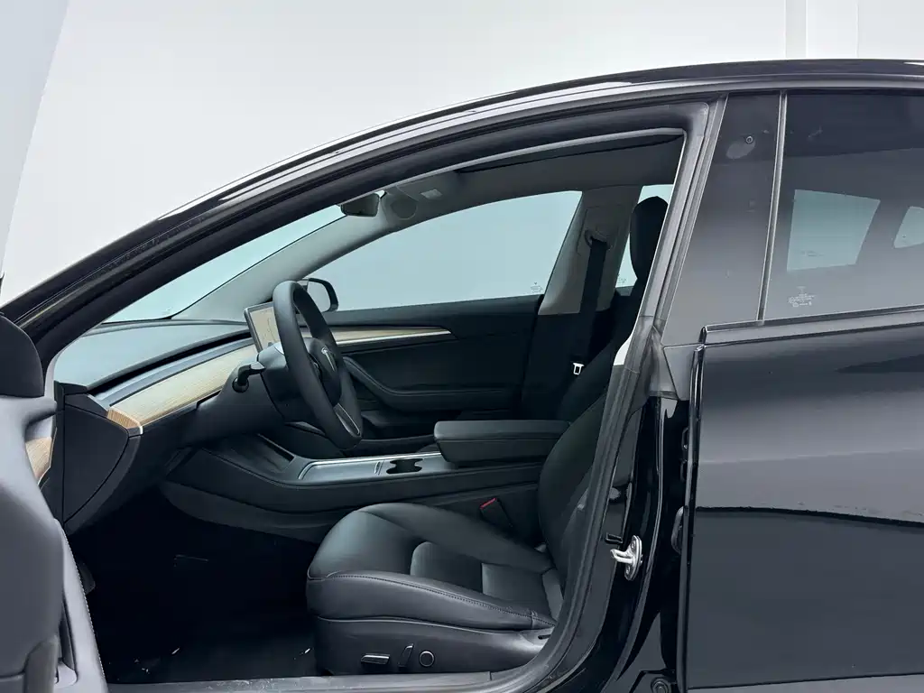 Tesla Model 3 — миниатюра 4