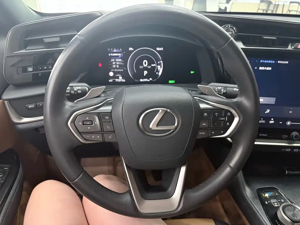 Lexus RZ — миниатюра 11