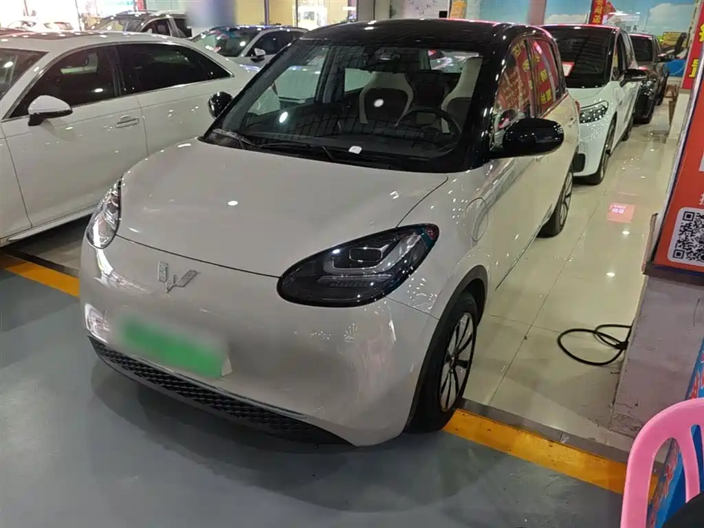 Wuling Bingo 2024