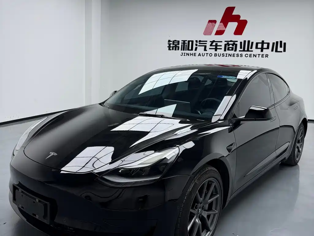 Tesla Model 3 — миниатюра 3